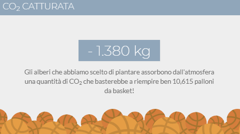 Co2 assorbita